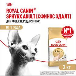 Royal Canin Sphynx Adult Корм сухой сбалансированный для взрослых кошек породы Сфинкс от 12 месяцев, 2 кг